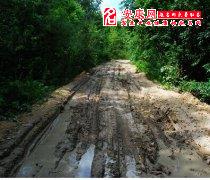 梦见泥泞道路意味着什么