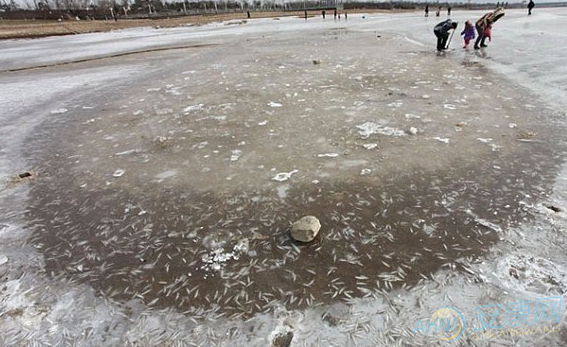 梦见河水浑浊周公解梦寓意详情解析